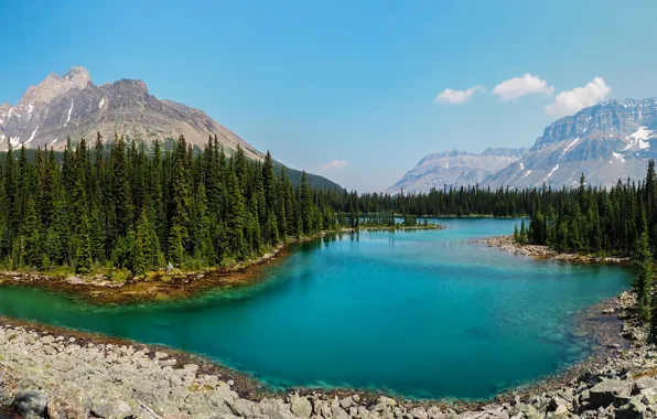 Picture forest, trees, mountains, lake, stones, Canada, Yoho National Park