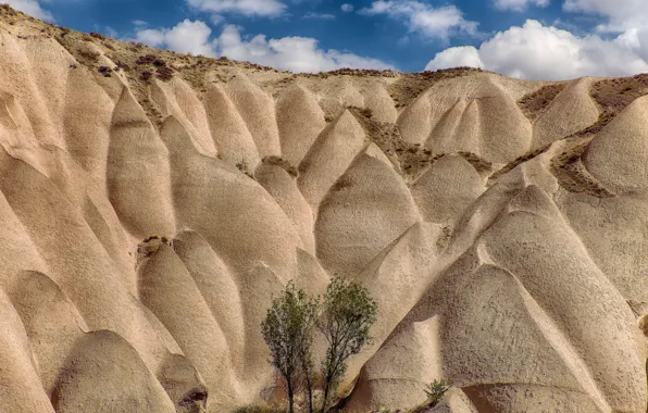 Picture sand, the sky, trees, hills, Turkey, Cappadocia