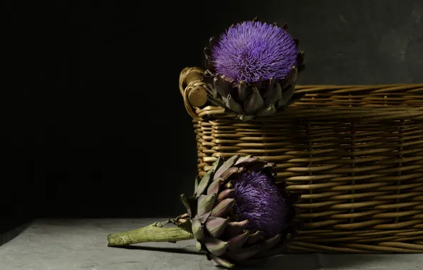 Picture flowers, basket, artichoke