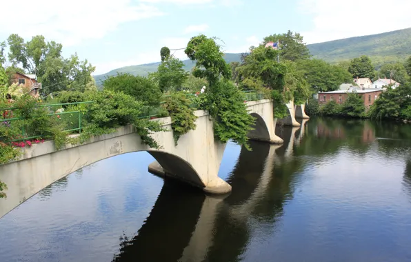 Picture greens, bridge, nature, river, green, village, Nature, river