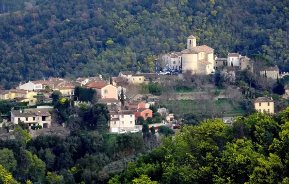 Picture trees, landscape, mountains, France, home, Provence-Alpes-Cote d'azur, Auribeau-Sur-Siagne