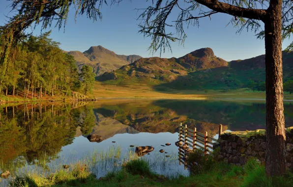 Autumn, forest, the sky, grass, trees, mountains, branches, lake