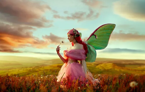 Field, the sky, girl, clouds, light, flowers, pose, style