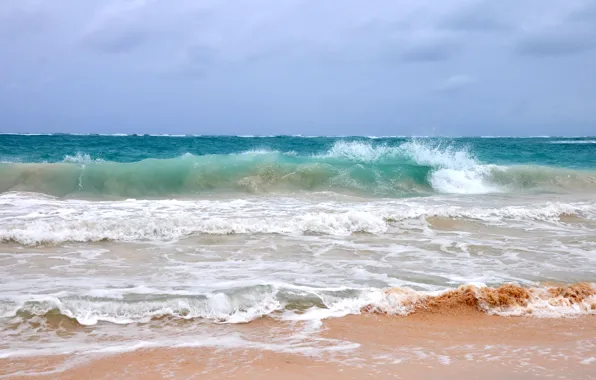 Sea, wave, water, landscape, storm, nature, the ocean, summer