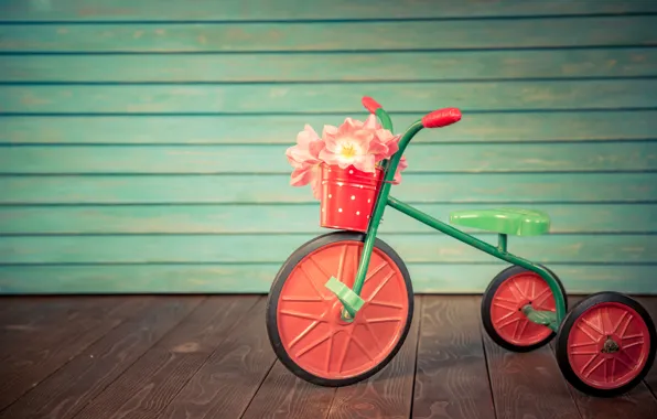 Picture flowers, holiday, bouquet, tulips