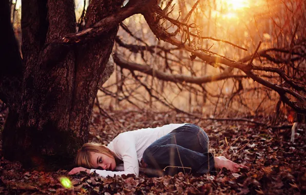 Picture forest, girl, rays, light, calm, peace