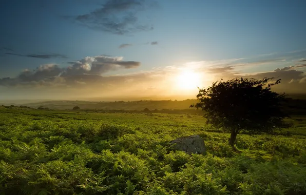 Picture landscape, sunset, England, Sourton