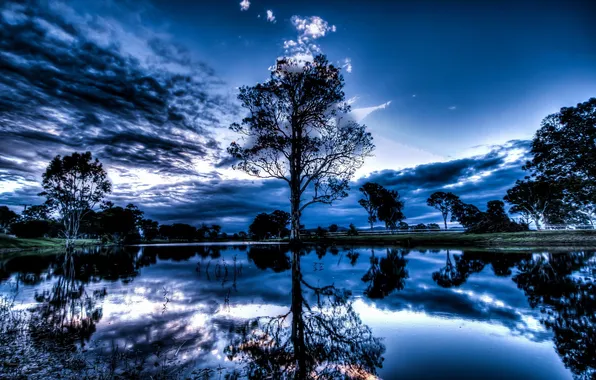 Trees, landscape, night, lake