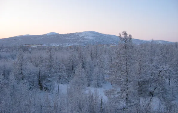 Picture winter, forest, dawn, hills, Taiga