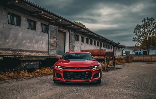 Red, Camaro ZL1, Front view