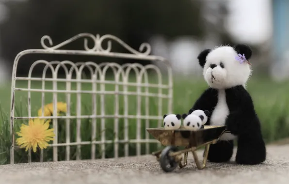 Grass, nature, childhood, background, black and white, toy, the fence, bear