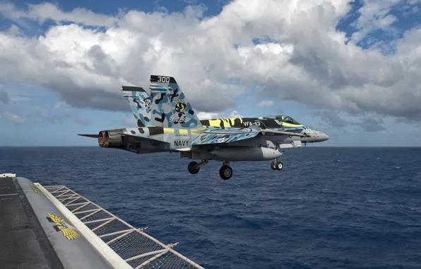 Sea, fighter, deck, the rise, multipurpose, FA-18C Hornet