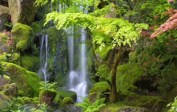 Trees, stones, waterfall, Oregon, Portland, Oregon, Portland, Japanese Gardens