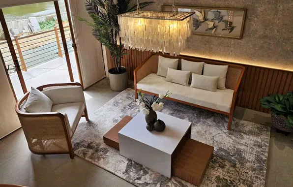 Design, style, room, interior, plants, chair, sofa, living room