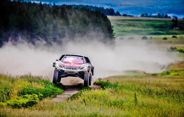 Sport, Speed, Race, Dirt, Peugeot, Lights, Red Bull, Rally