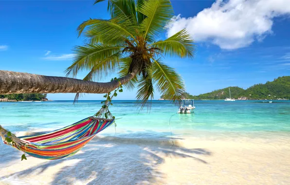 Sand, sea, beach, the sun, palm trees, shore, hammock, summer