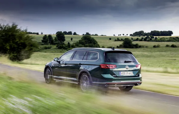 Picture field, Volkswagen, back, universal, Passat, dark green, Alltrack, 2019