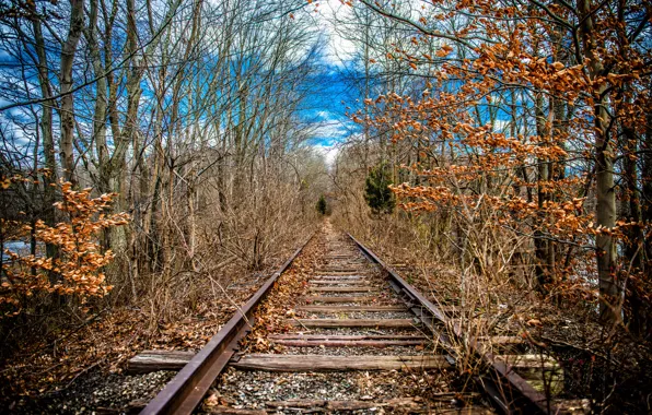 Picture nature, spring, railroad
