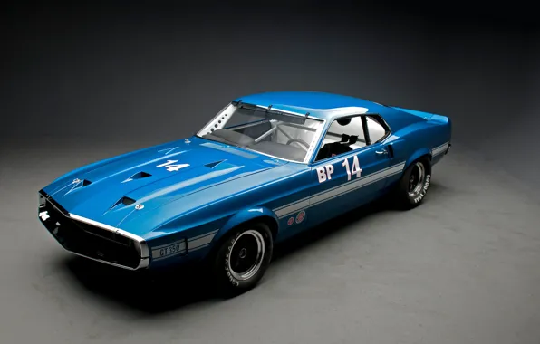 Car, Shelby, blue, GT350, 1969 Shelby GT350