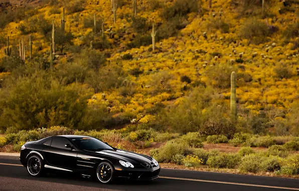 Road, trees, slope, cacti, Mercedes, Benz, car, SLR McLaren