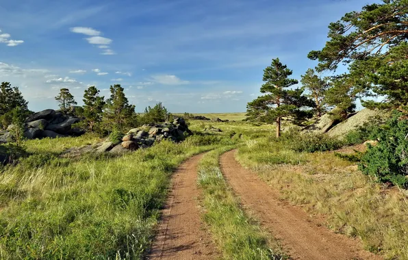 Road, summer, landscape, nature