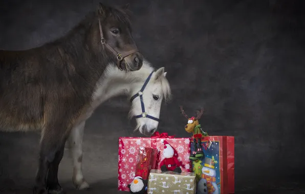 Picture animals, holiday, new year, Christmas, horse, gifts, pony