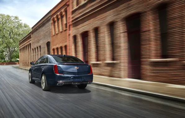 Car, Cadillac, fast, Cadillac XTS