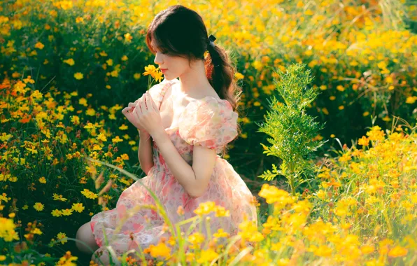 Picture field, summer, girl, light, flowers, yellow, pose, hands