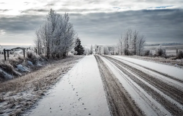 Winter, road, snow
