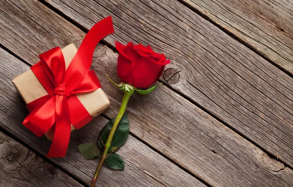 Love, flowers, gift, romance, roses, love, happy, Valentine's day
