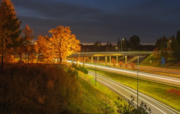 Autumn, grass, trees, night, photo, pictures, hill, Wallpaper