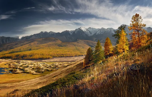 Picture autumn, forest, the sky, grass, clouds, light, trees, mountains