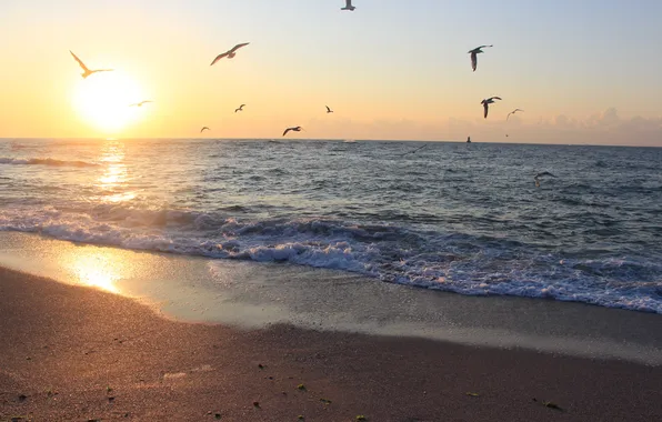 Picture sand, wave, beach, the sky, the sun, clouds, landscape, sunset