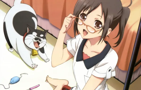 Cat, smile, toys, bed, mouse, glasses, girl, sitting