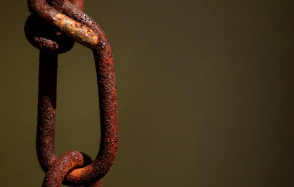 Picture macro, metal, ring, chain