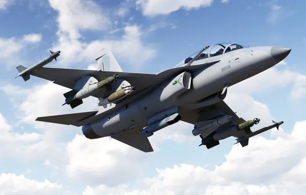 Fighter, sky, attack aircraft