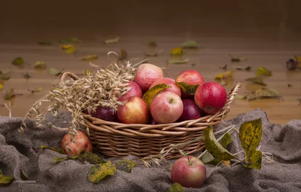 Basket, apples, ears