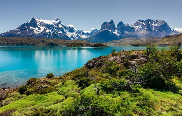 Forest, mountains, nature, Chile, Chile, National Park Torres del Paine, Lake Pehoé in Torres del …