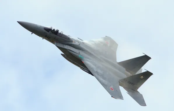 The sky, fighter, Eagle, F-15, generation, McDonnell Douglas, fourth