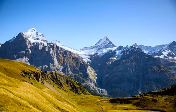 Grass, sky, Switzerland, trees, landscape, nature, mountains, snow