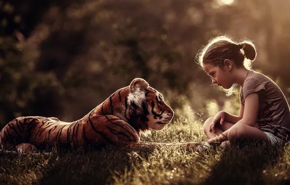 Forest, grass, rays, light, children, tiger, Park, glade
