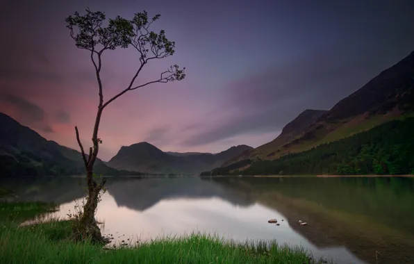 Picture trees, mountains, lake