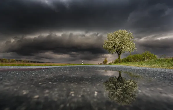 Road, clouds, reflection, tree, spring, puddle
