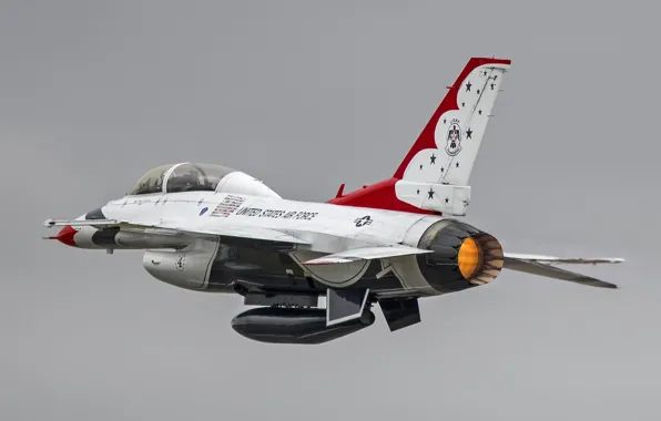 Picture Fighting Falcon, Thunderbirds, General Dynamics, F-16D