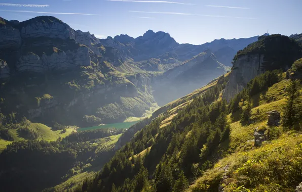 Picture forest, light, mountains, fog, rocks, tops, height, ate