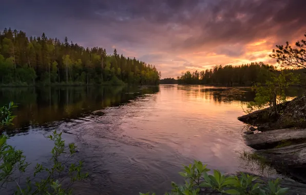 Picture Lake Ladoga, Karelia, Andoga River