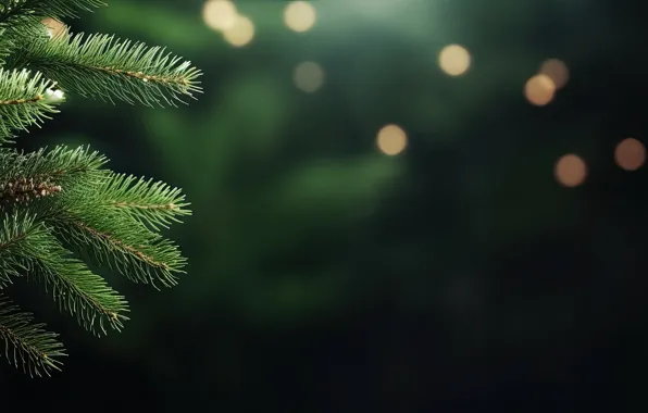 Branches, spruce, Christmas, New year, tree, needles, green background, coniferous