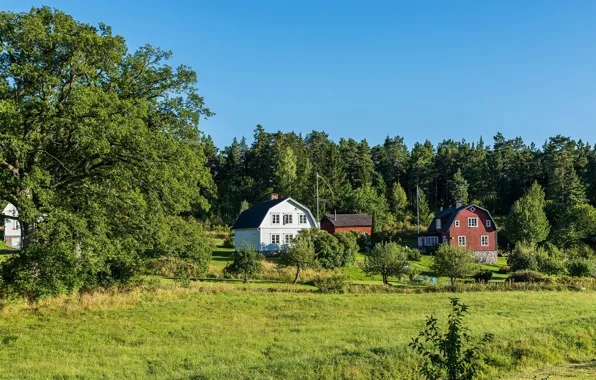 Greens, summer, the sky, grass, the sun, trees, houses, Stockholm