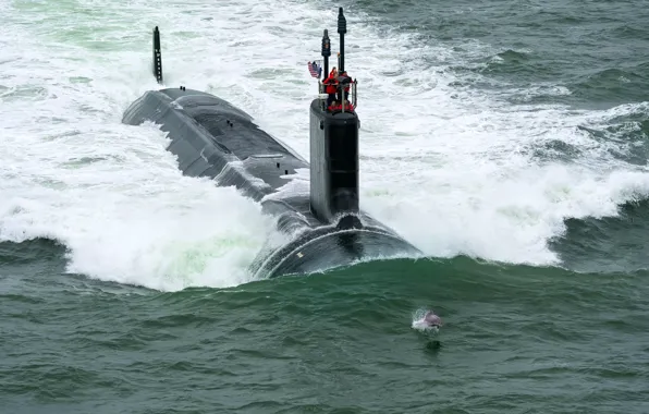 Dolphin, the game, submarine, race, naughty, john warner