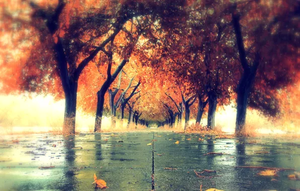 Picture autumn, the city, color, Orica